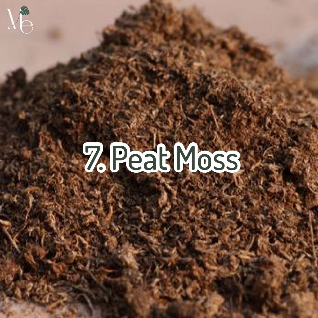 Peat Moss