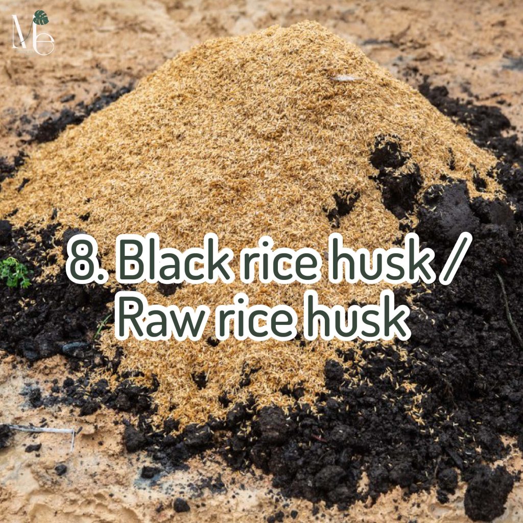 Black rice husk / Raw rice husk