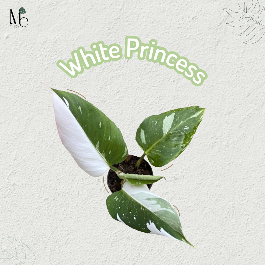 white princess