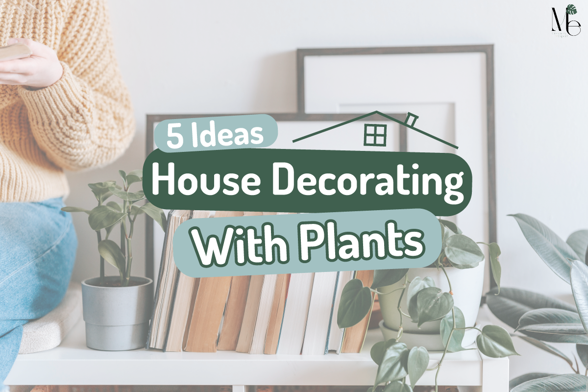 5 Ideas Home Decorating with Plants