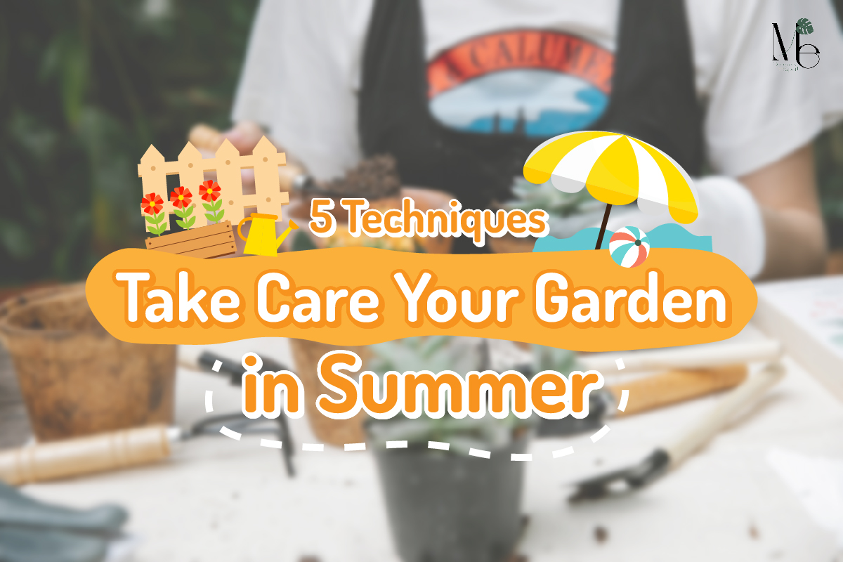 take care your garden in summer