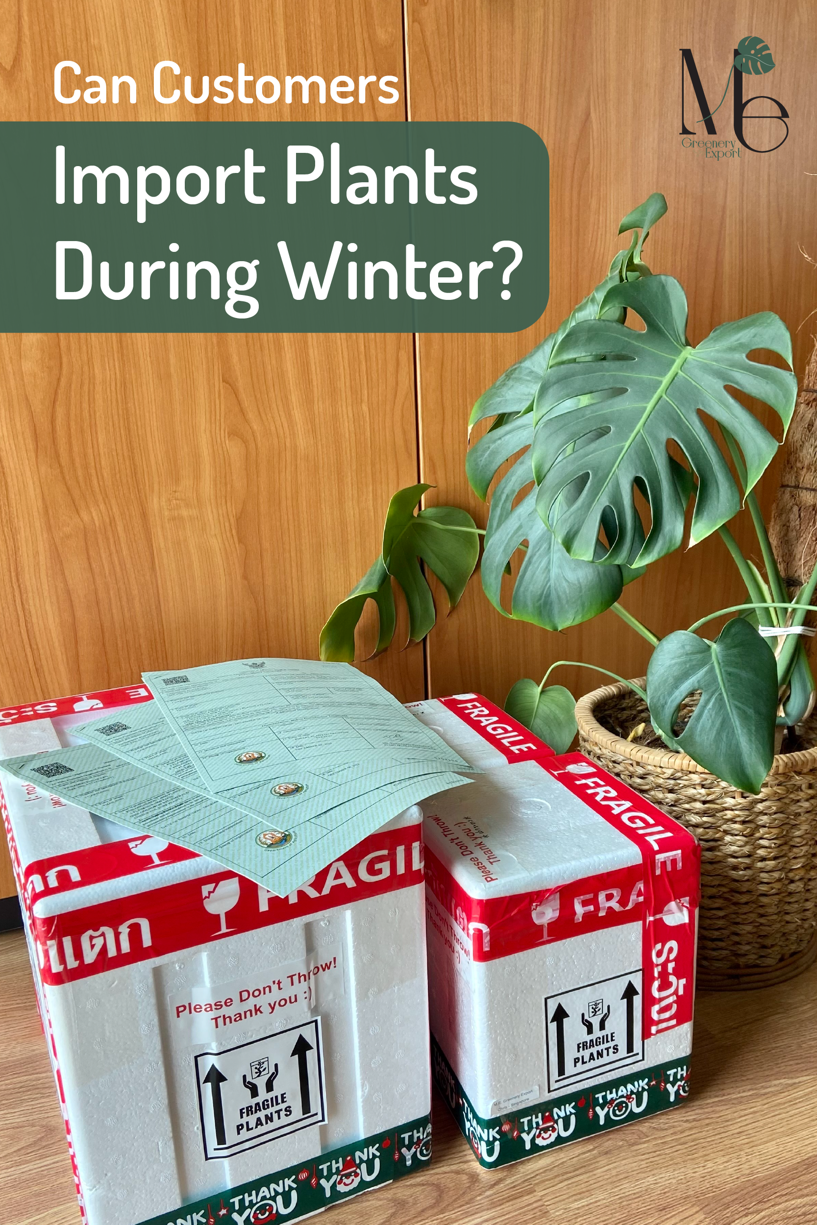 import plants during winter