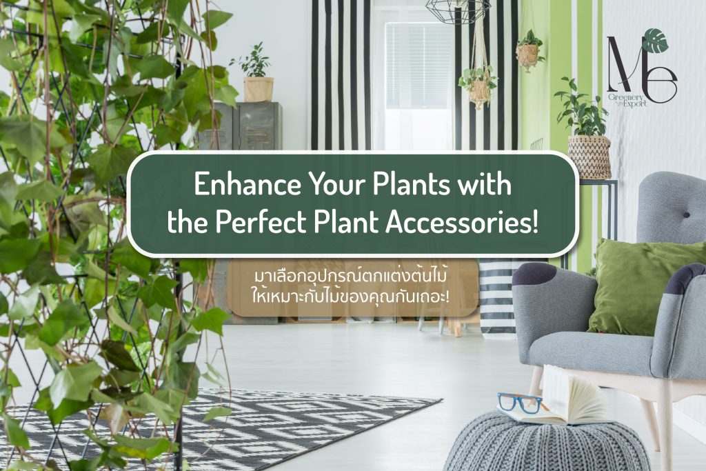 Plant Accessories