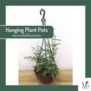 Hanging Plant Pot