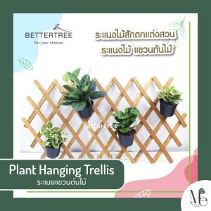 Plant Hanging Trellis