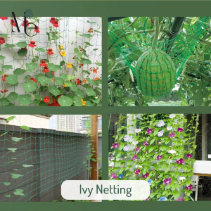 ตาข่ายไม้เลื้อย (Ivy Netting)