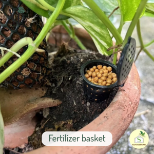 ตะกร้อใส่ปุ๋ย (Fertilizer Basket)