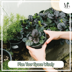 วางแผนพื้นที่ปลูกให้ดี (Plan Your Space Wisely)