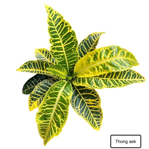 nN1RzCxn0 fL2wqmZY5FFafXOCmIQ3cbo6I23K6miWgM251 K UkgNKGg dg8JDsXPewvnfpZsfn0J0xzLfdLbzgatCj9ciGOaosJKlN bj3W3RgEUFZ8AhM 4HlrqiMPGAWgRoNfwFFSQkqTkXAuA 1